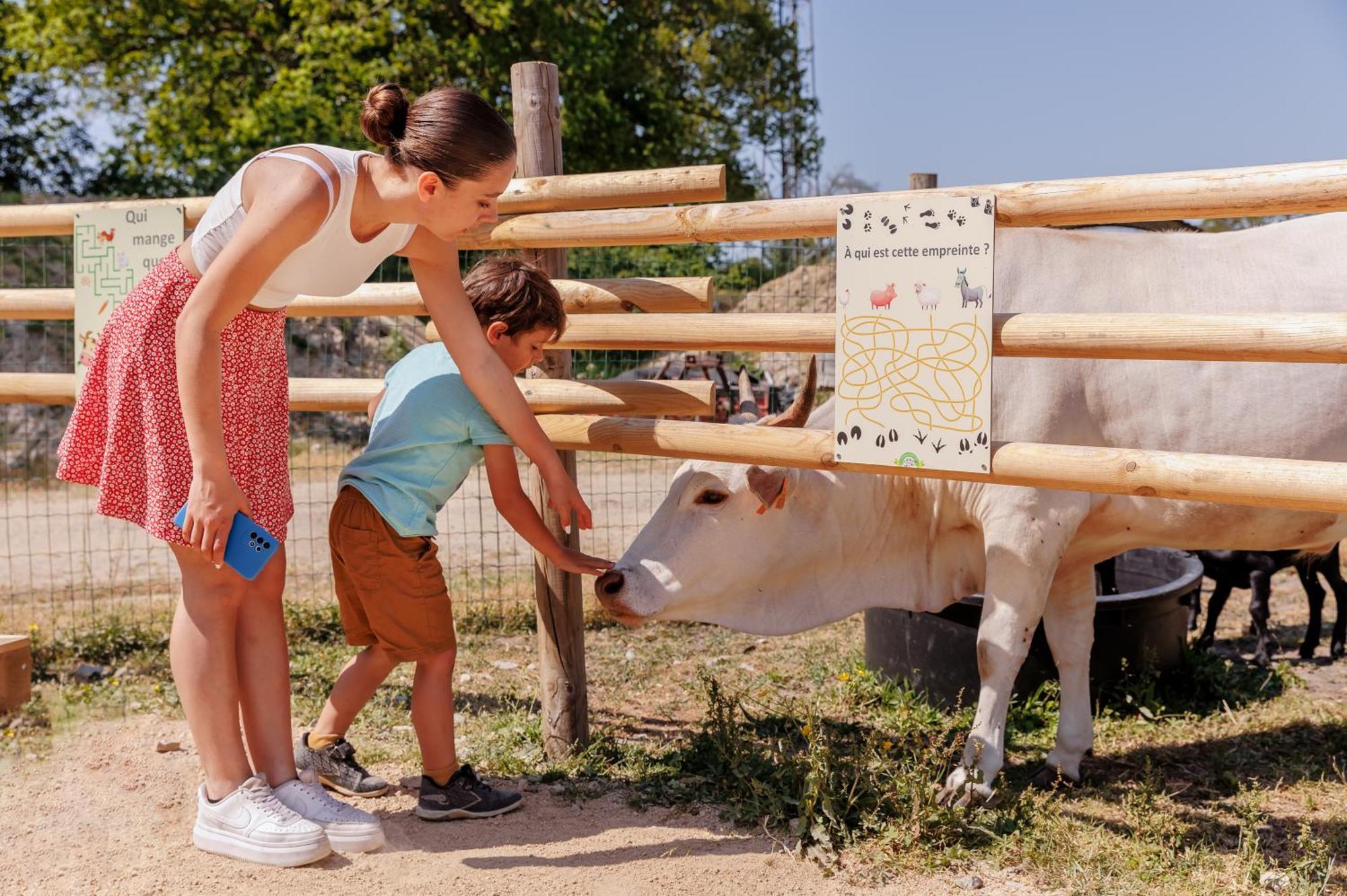 Отель Camping Le Bois Joli Экстерьер фото